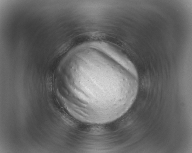 X0000062930666200601271833