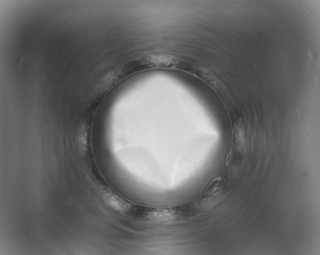 X0000062930668200601271833