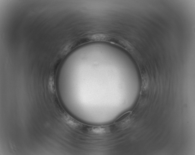 X0000062930669200601271833