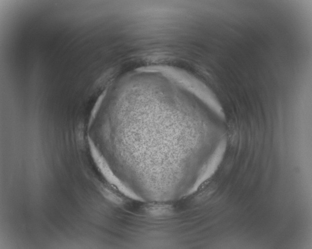 X0000062930670200601271833