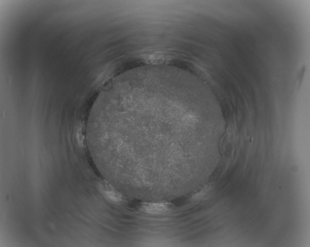 X0000062930671200601271833