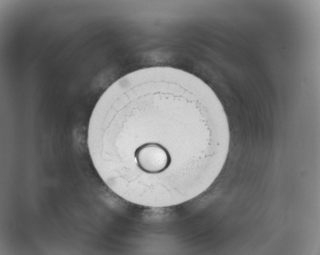 X0000062930672200601271833