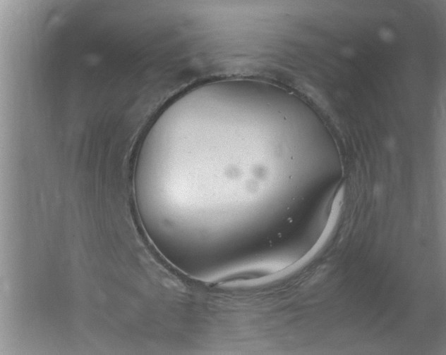 X0000062930673200601271833