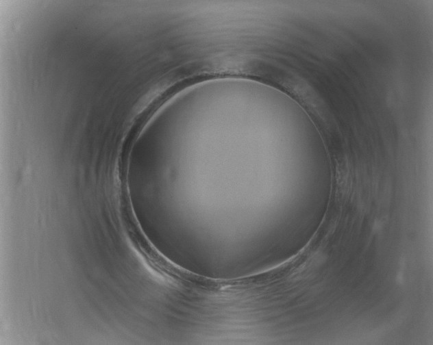 X0000062930674200601271833