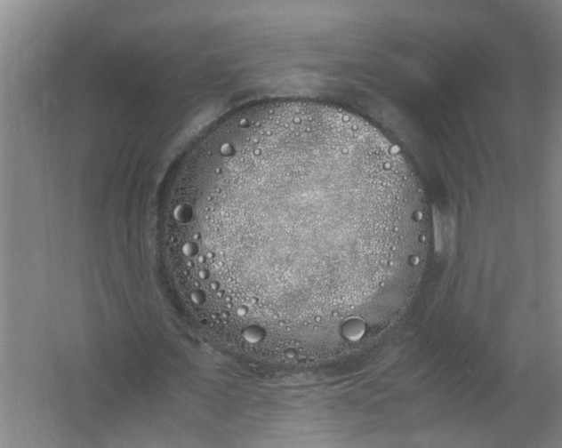 X0000062930675200601271833