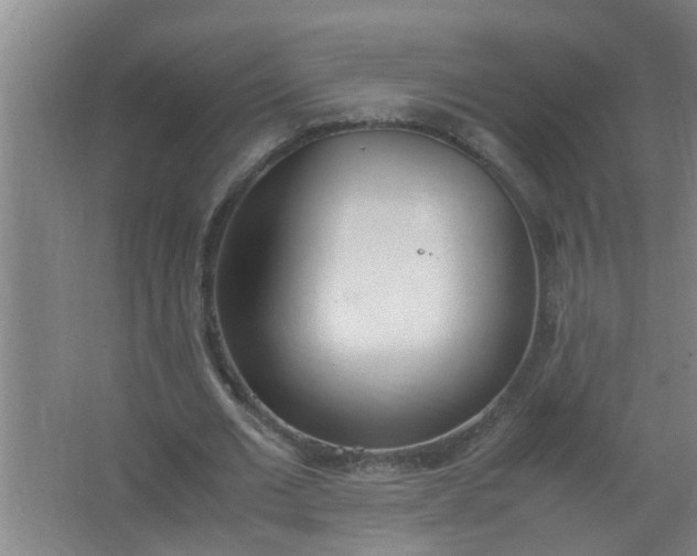 X0000062930677200601271832