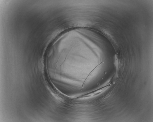 X0000062930678200601271832