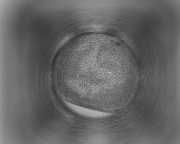 X0000062930679200601271832