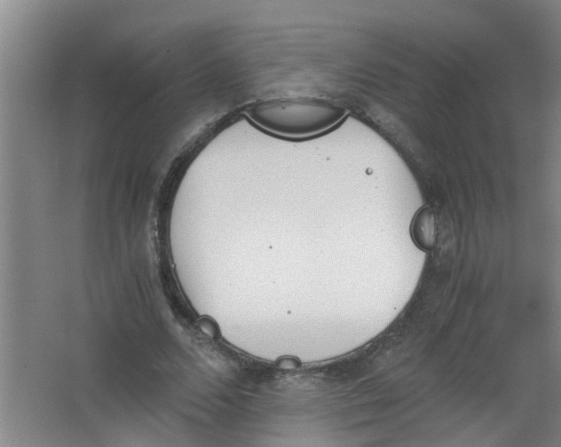 X0000062930680200601271832