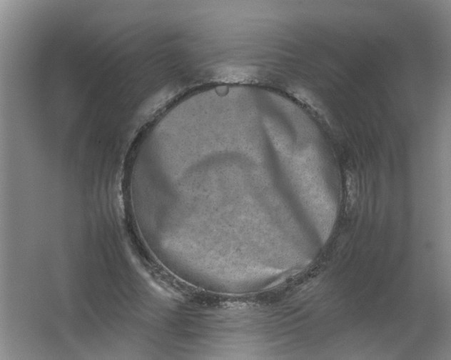 X0000062930682200601271832