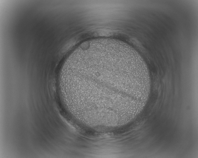 X0000062930683200601271832