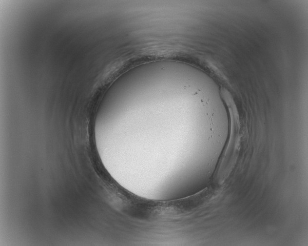 X0000062930685200601271832