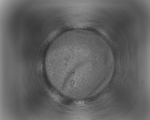 X0000062930687200601271832