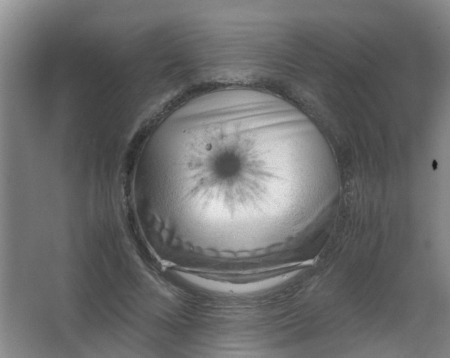 X0000062930688200601271832