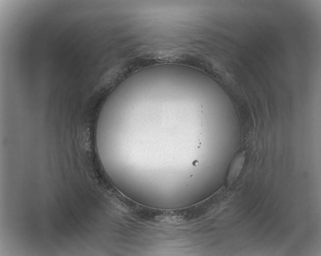 X0000062930689200601271832