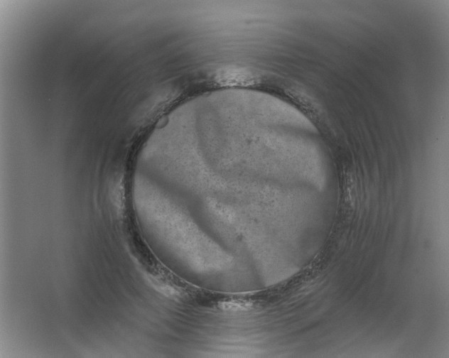 X0000062930690200601271832