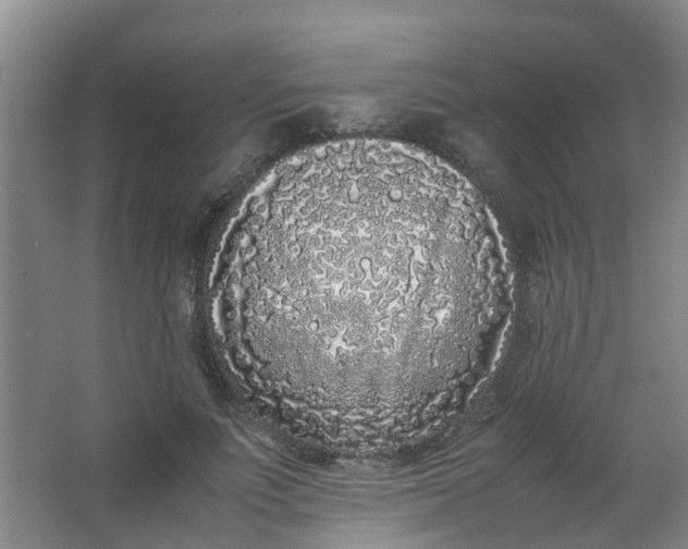 X0000062930691200601271832