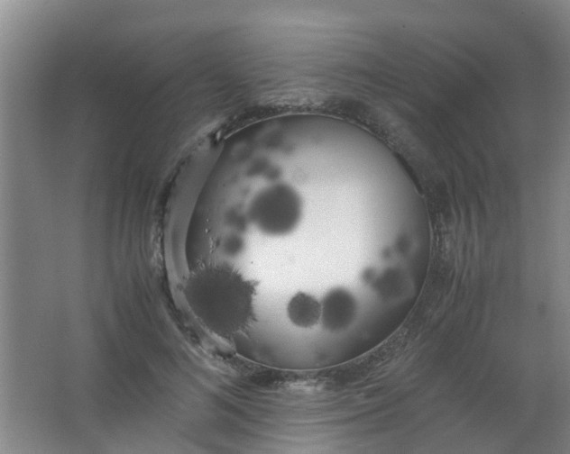 X0000062930692200601271832