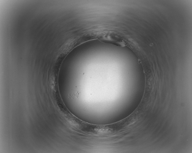 X0000062930693200601271832