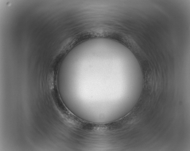 X0000062930694200601271832