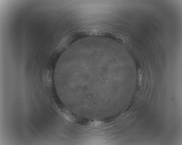 X0000062930695200601271832