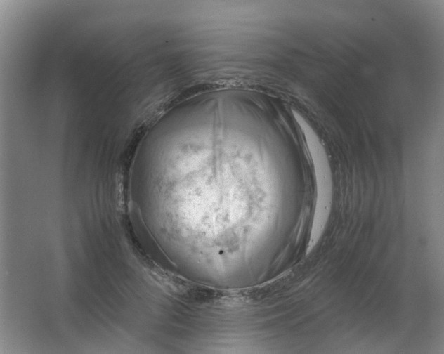 X0000062930696200601271832