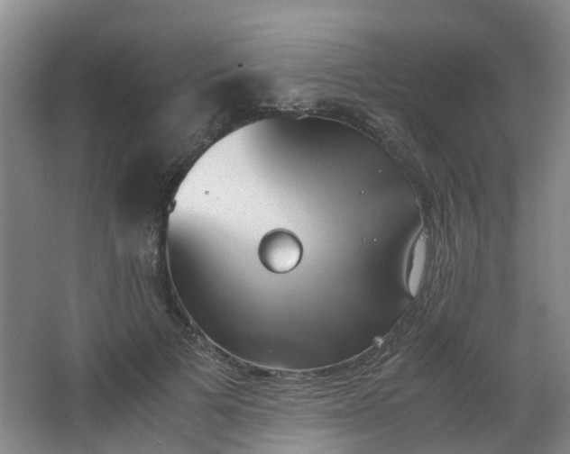 X0000062930697200601271832