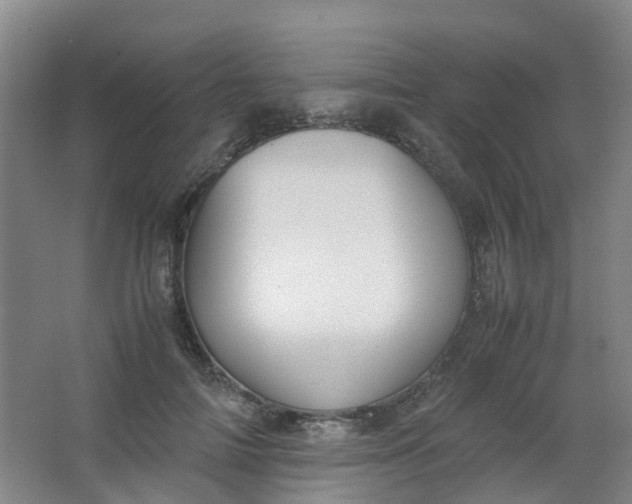 X0000062930698200601271832