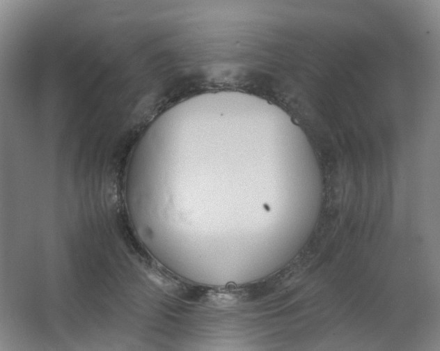 X0000062930706200601271832