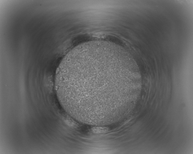 X0000062930707200601271832