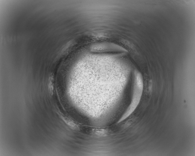 X0000062930710200601271832