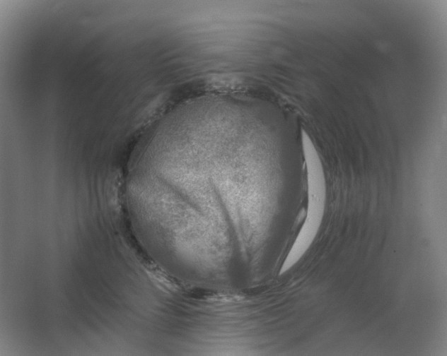 X0000062930712200601271832