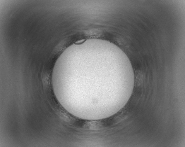 X0000062930713200601271832