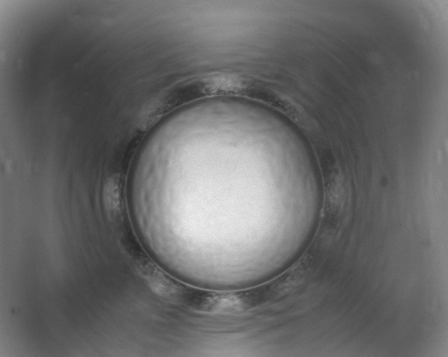 X0000062930715200601271832