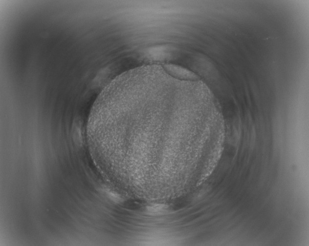 X0000062930718200601271832