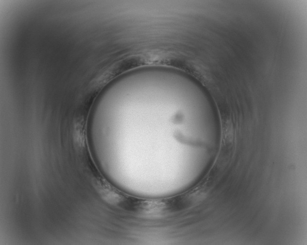 X0000062930719200601271832