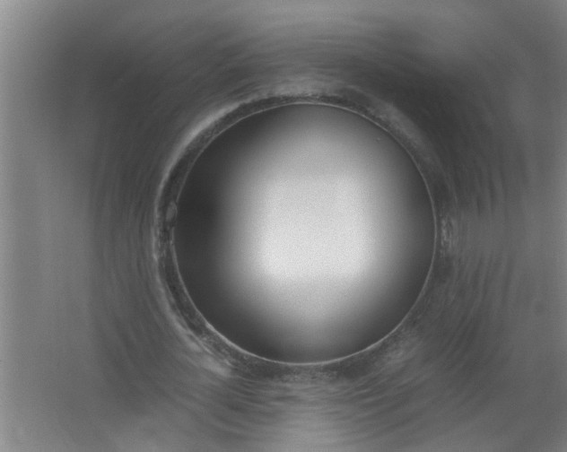 X0000062930724200601271831