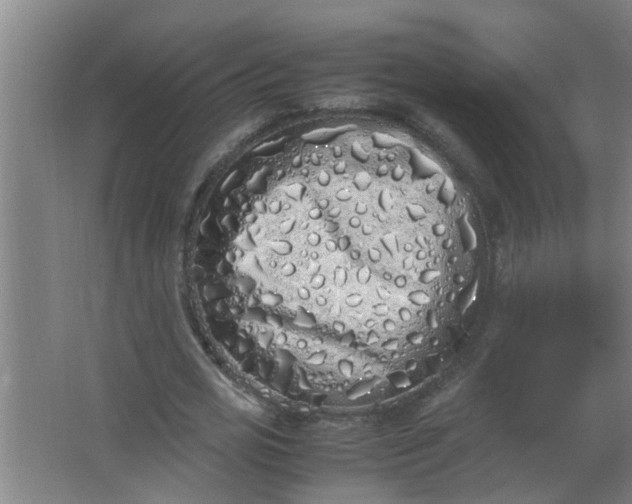 X0000062930725200601271831