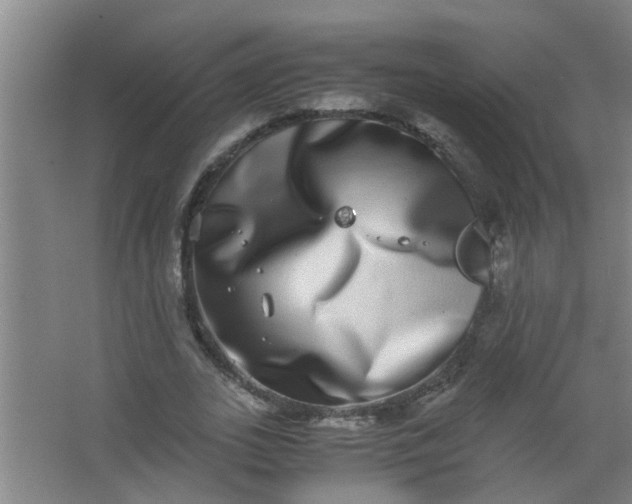 X0000062930727200601271831