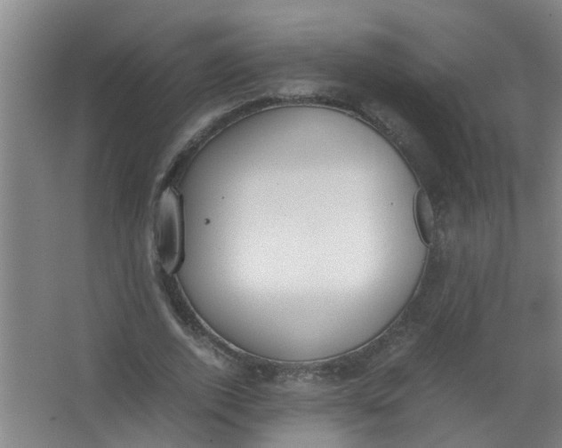 X0000062930728200601271831