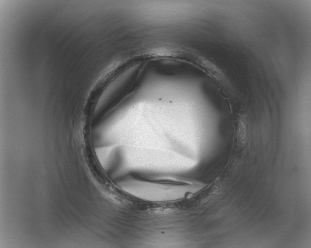 X0000062930730200601271831