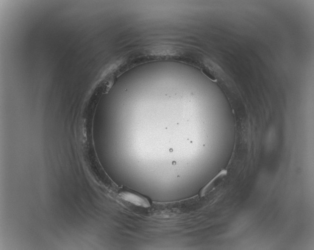 X0000062930731200601271831