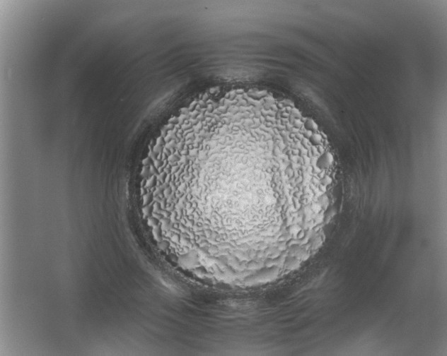 X0000062930733200601271831