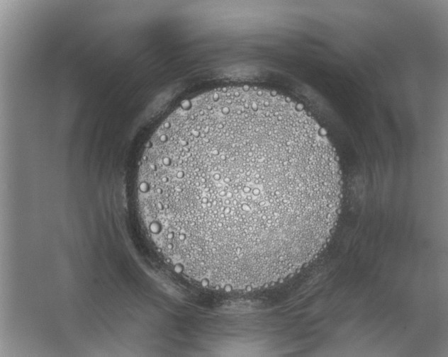 X0000062930734200601271831