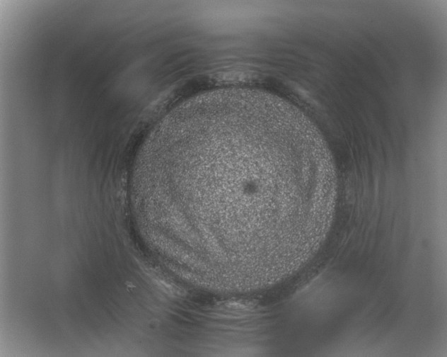 X0000062930737200601271831