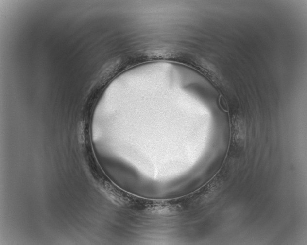 X0000062930738200601271831