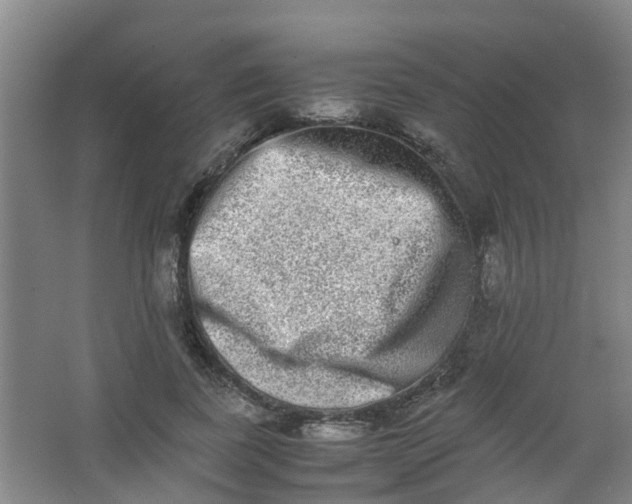 X0000062930739200601271831