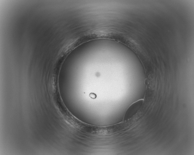 X0000062930740200601271831