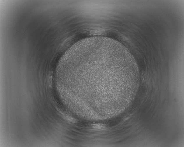 X0000062930741200601271831