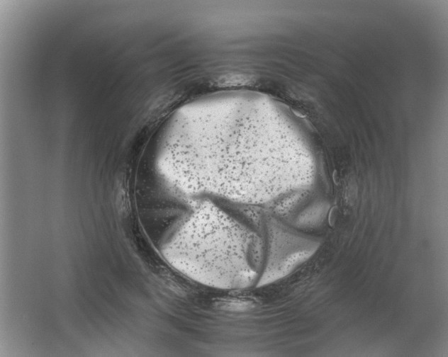 X0000062930743200601271831